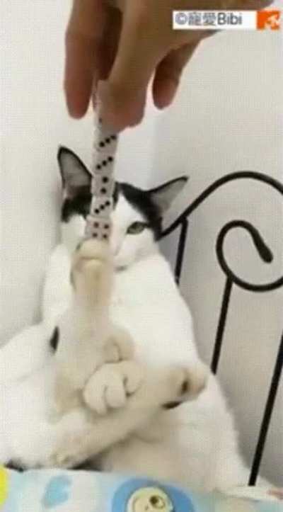 Meowow