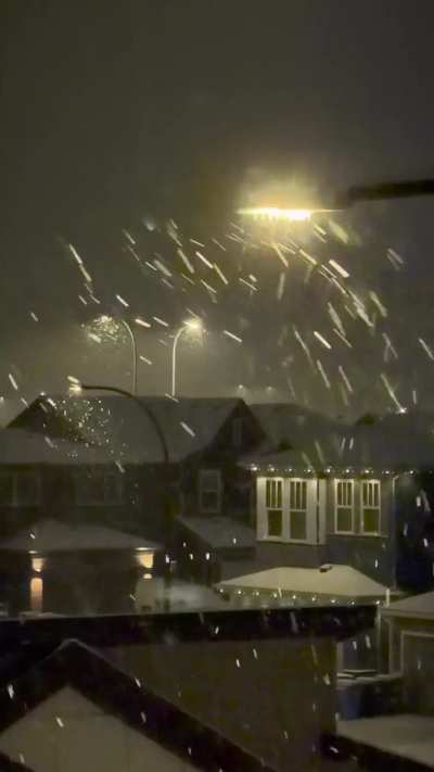 Peaceful snowy night