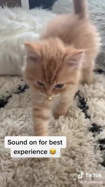 this is kevin 🥺
