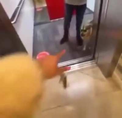 Racist