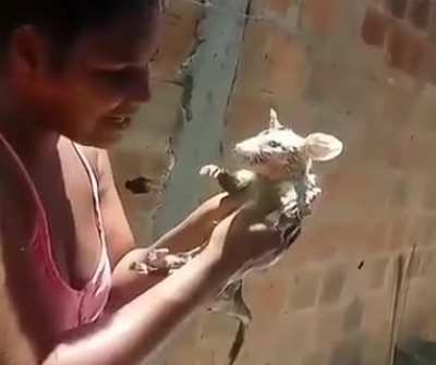 Almoço dos crias 😋