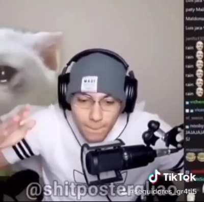 XD