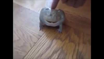It is Wednesday my dudes.