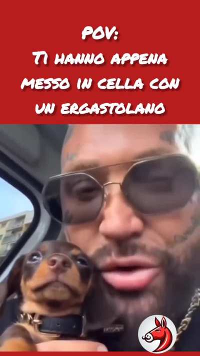 Non lo vedo convinto
