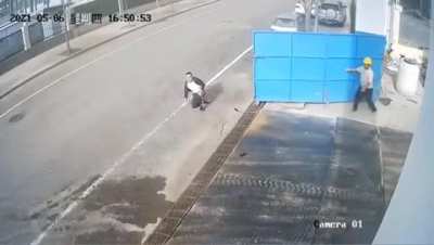Well, he learned the lesson today
