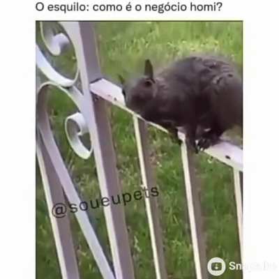 Quem? Eu?