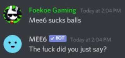 You messed with the wrong bot