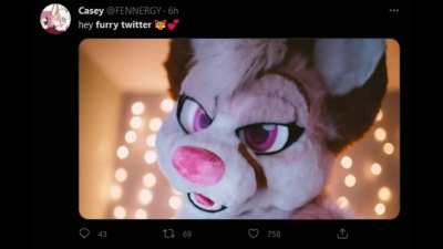 furry_irl