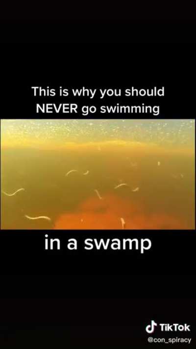 I&rsquo;d choose to swim with sharks over these any day of the week