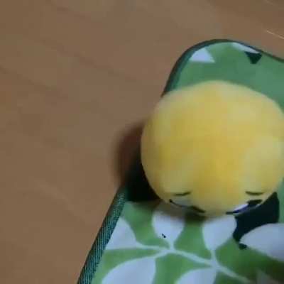 🥺 rule