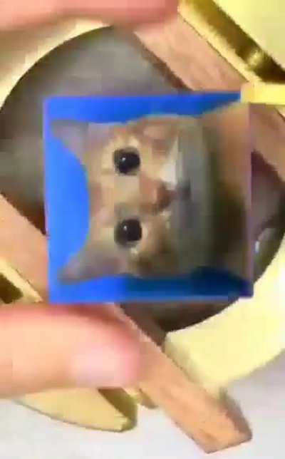 kdjrhwgwggageg "sssdfg" irhhehhhehheheb