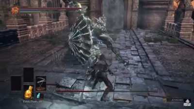 Dragonslayer Armour (Ng+ No Damage)