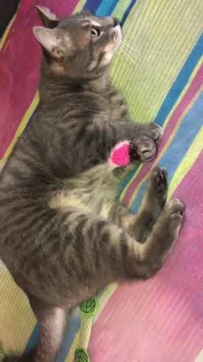 My sweet killa-Dennis