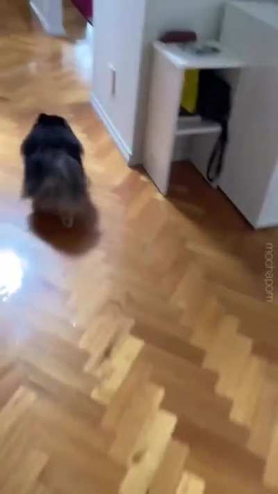 Eggcellant
