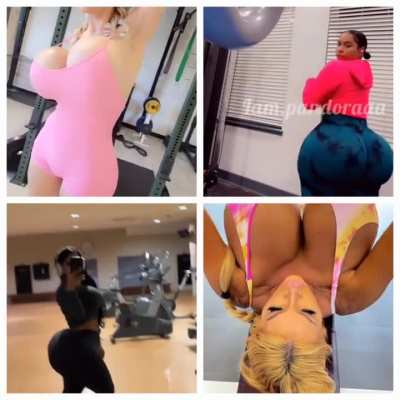 The Perfect Gym