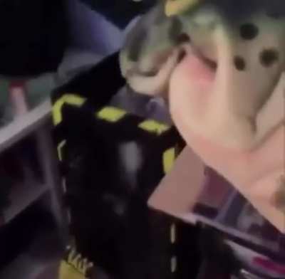 you guys like AAAAAAAAAAAAAAAAAAAAAAa