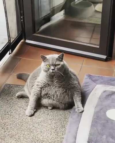 Should&rsquo;ve named her Jabba