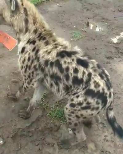 This is mine now