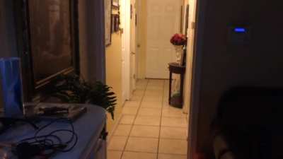 Mimic of my 10 yr old brother saying “mom”. Dad was home alone trying to record his dog playing fetch. “He’s Not tech inclined”. Just happened to catch a voice. House was always very creepy growing up. We have all experienced our own “activity”.