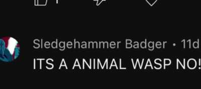 Goofy comment section thing