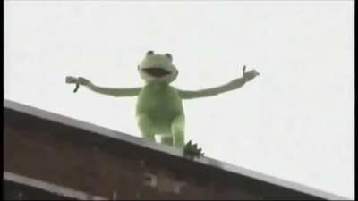 my name is kermit, but everybody calls me giorgio