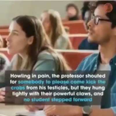 🦀rule