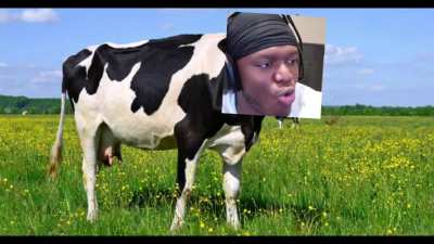 K.S.I MOOlajideBT