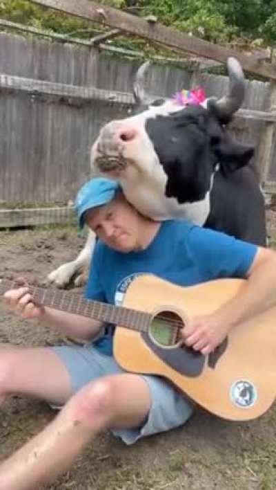 Enjoying the music