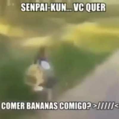 Quer senpai kun? 👉👈