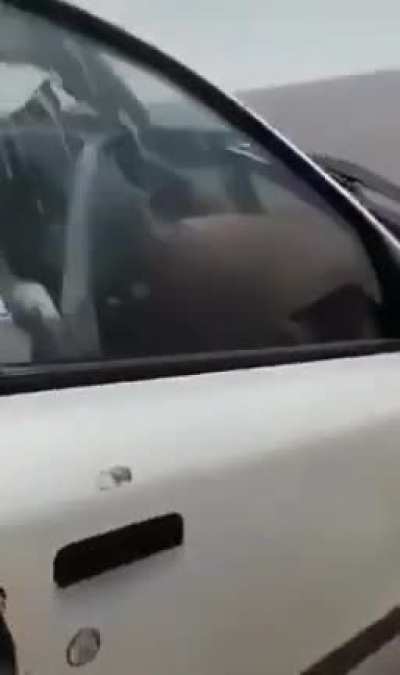 Car Crashes Into Camel