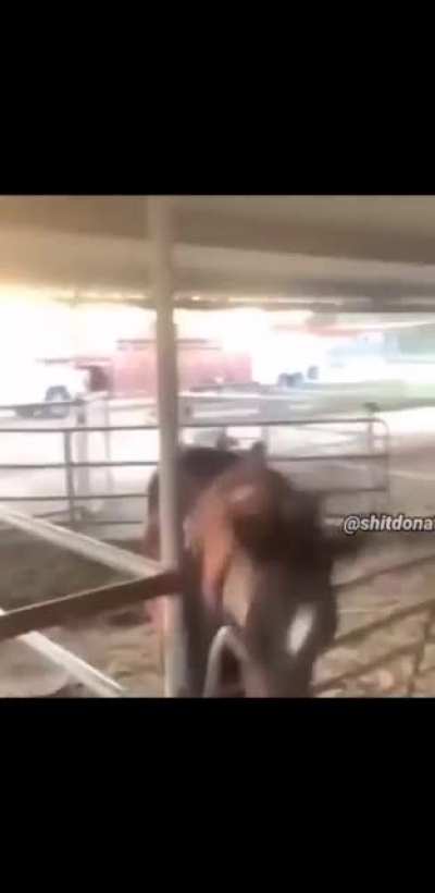 Perdeu a mão