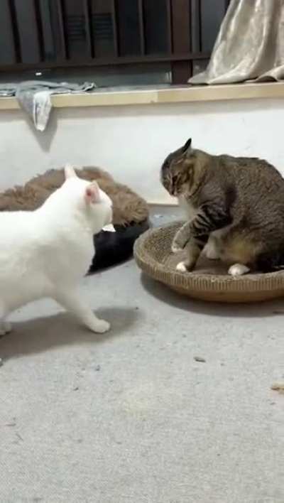 The face of instant regret