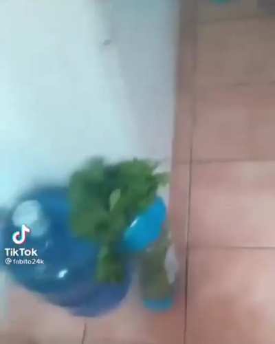 Llevo media hora ri&eacute;ndome xd