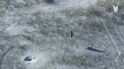 In a symbolic move, the drone of SSO operators places the Ukrainian flag at the site of the destroyed enemy positions in the Zaporizhzhia direction.