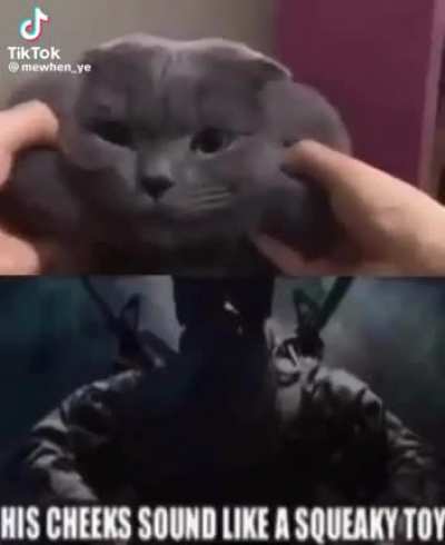 squeaka