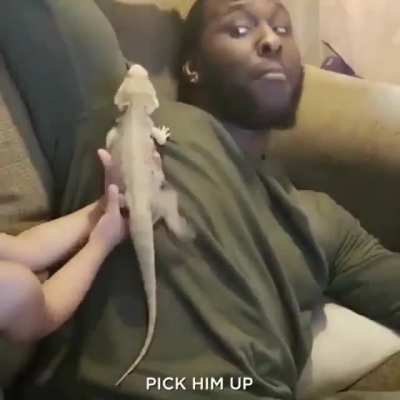 Pick him up