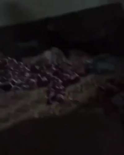 Children in Gaza spending their night under Israeli shelling. Father tries comforting them.