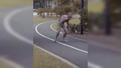 Macaco fumando maconha