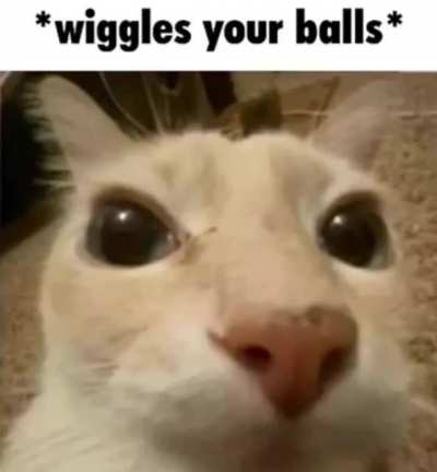 Who up wiggling they worm