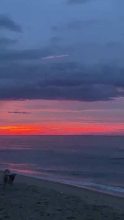 Maybe the sunset is beautiful, but can you smell loneliness in the air?