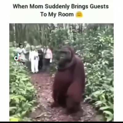 absolutelynotmeirl
