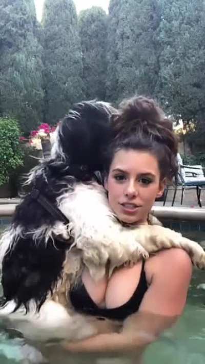 Puppies in the pool