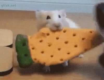 Yeet