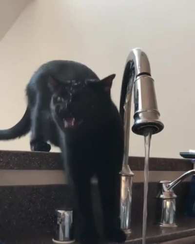 Almost drinking