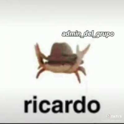 Discord bullshit part37 (Ricardoending)
