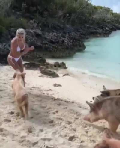 Maybe Maybe Maybe