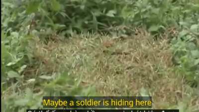 Welcome to the rice field
