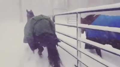 A little too cold