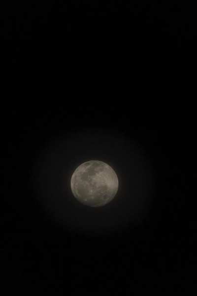 Last Night's Supermoon