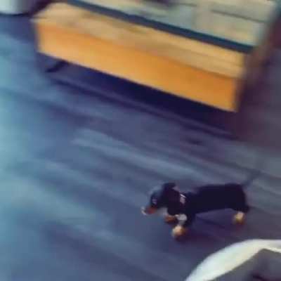 slidy boi